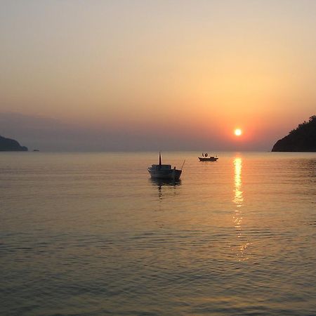 Adrasan Kybele Hotel Εξωτερικό φωτογραφία