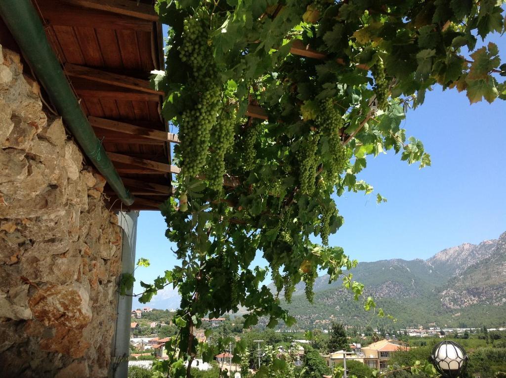 Adrasan Kybele Hotel Εξωτερικό φωτογραφία