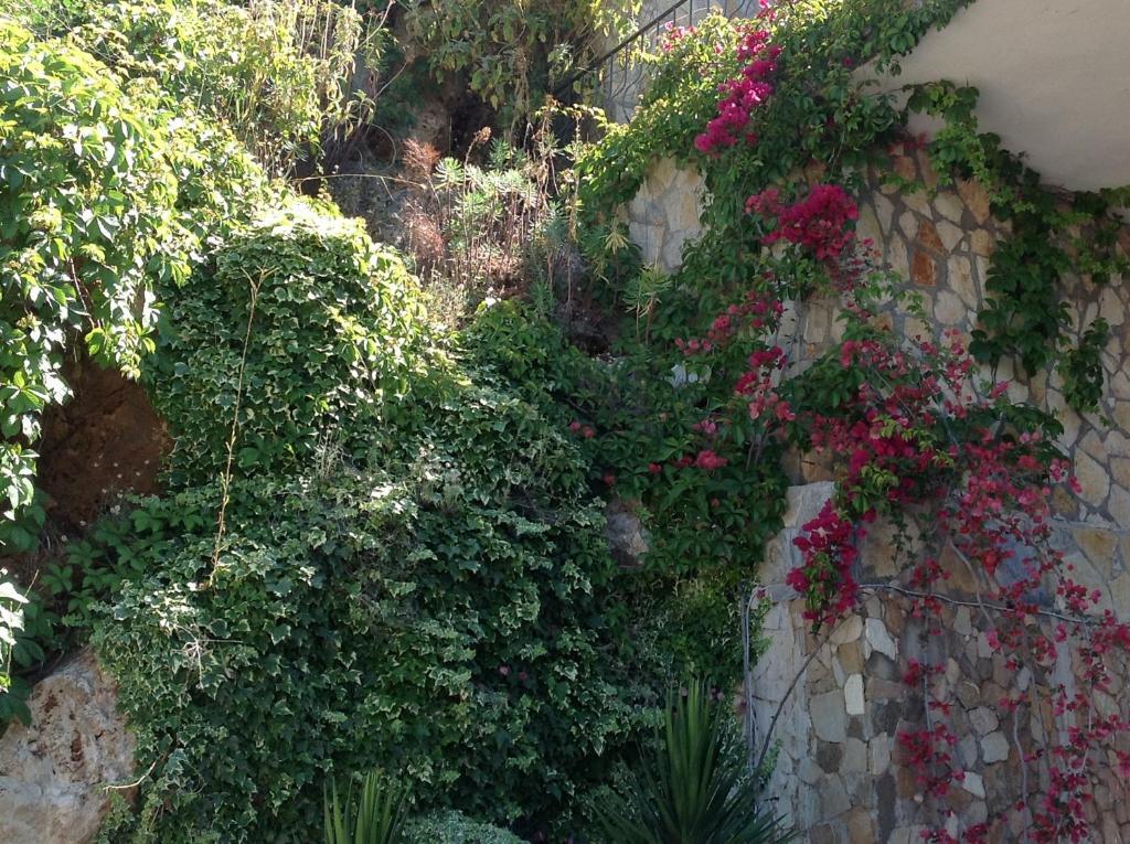 Adrasan Kybele Hotel Εξωτερικό φωτογραφία